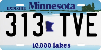 MN license plate 313TVE