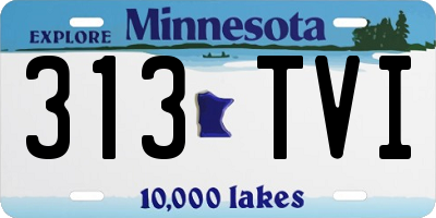 MN license plate 313TVI