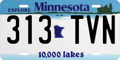MN license plate 313TVN