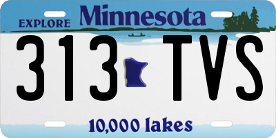 MN license plate 313TVS