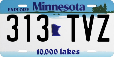 MN license plate 313TVZ