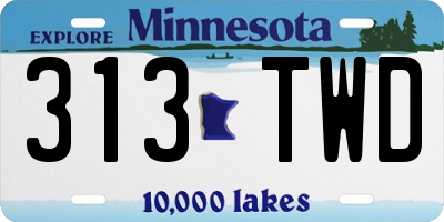 MN license plate 313TWD