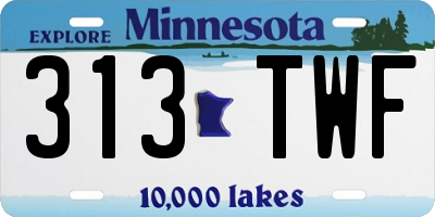 MN license plate 313TWF