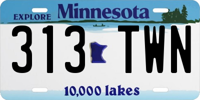 MN license plate 313TWN