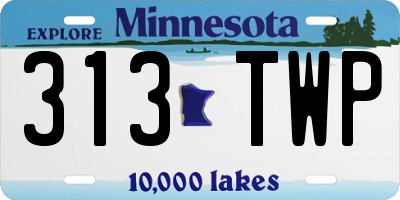 MN license plate 313TWP