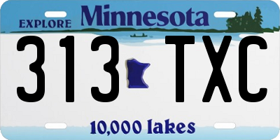 MN license plate 313TXC