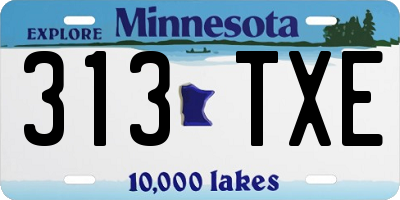 MN license plate 313TXE