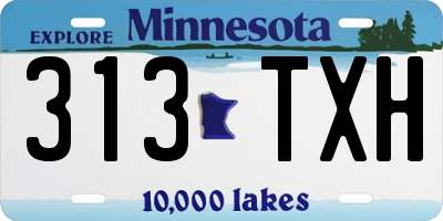MN license plate 313TXH