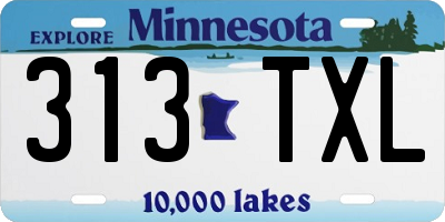 MN license plate 313TXL