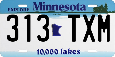 MN license plate 313TXM