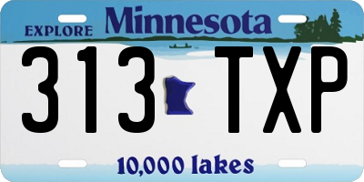 MN license plate 313TXP