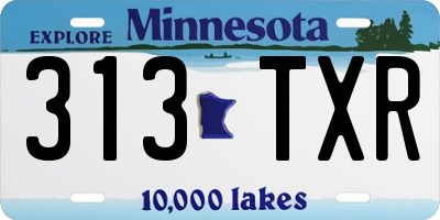 MN license plate 313TXR