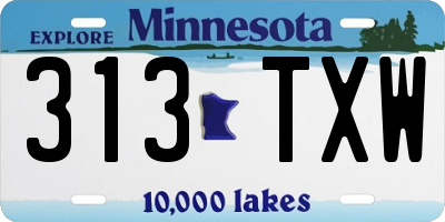 MN license plate 313TXW