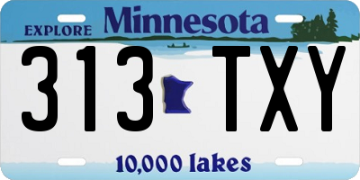 MN license plate 313TXY