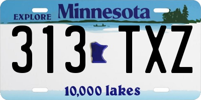 MN license plate 313TXZ