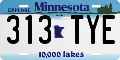 MN license plate 313TYE