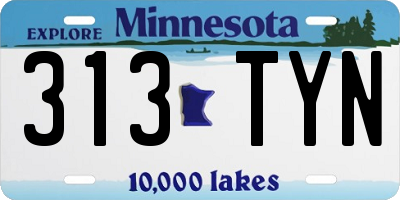 MN license plate 313TYN
