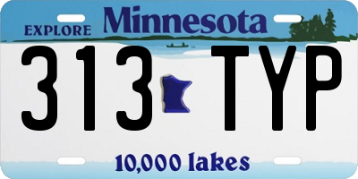 MN license plate 313TYP