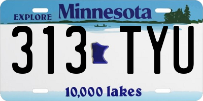 MN license plate 313TYU