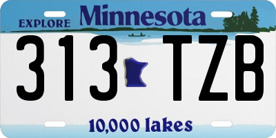 MN license plate 313TZB