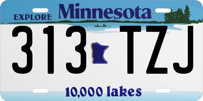MN license plate 313TZJ