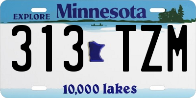 MN license plate 313TZM