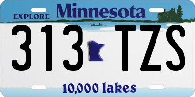 MN license plate 313TZS