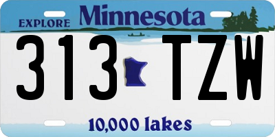MN license plate 313TZW