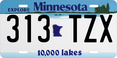 MN license plate 313TZX