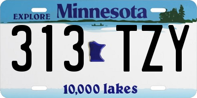 MN license plate 313TZY