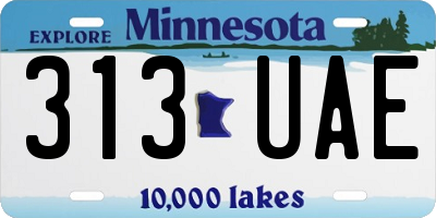 MN license plate 313UAE