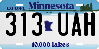 MN license plate 313UAH