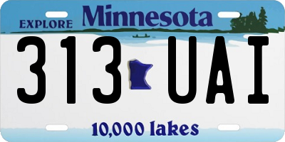 MN license plate 313UAI