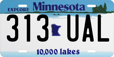 MN license plate 313UAL