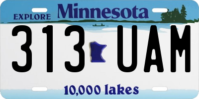 MN license plate 313UAM