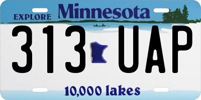 MN license plate 313UAP