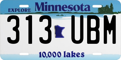 MN license plate 313UBM
