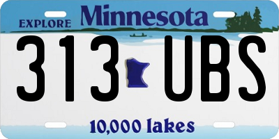 MN license plate 313UBS