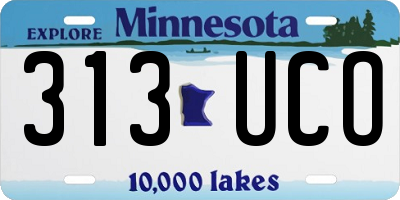 MN license plate 313UCO