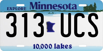 MN license plate 313UCS