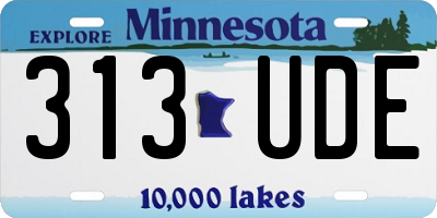 MN license plate 313UDE