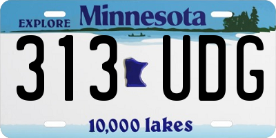 MN license plate 313UDG
