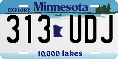 MN license plate 313UDJ