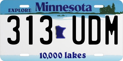 MN license plate 313UDM