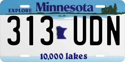 MN license plate 313UDN