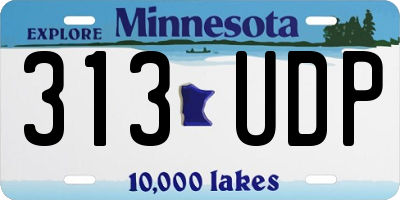 MN license plate 313UDP