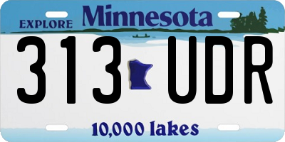 MN license plate 313UDR