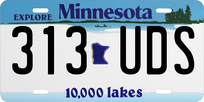 MN license plate 313UDS