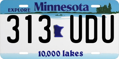 MN license plate 313UDU