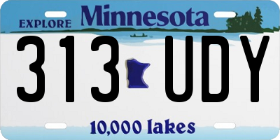 MN license plate 313UDY